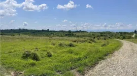 Land For Sale, Agricultural, Tskaltubo