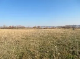 Land For Sale, Agricultural, Martkopi