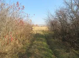 Land For Sale, Agricultural, Martkopi