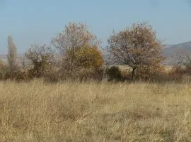 Land For Sale, Agricultural, Martkopi