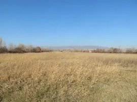 Land For Sale, Agricultural, Martkopi