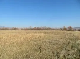 Land For Sale, Agricultural, Martkopi