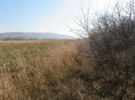 Land For Sale, Agricultural, Martkopi