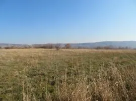 Land For Sale, Agricultural, Martkopi