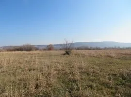 Land For Sale, Agricultural, Martkopi