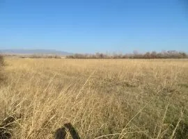 Land For Sale, Agricultural, Martkopi