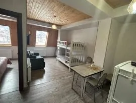 Daily Apartment Rent, 2 Room, New building, Borjomi , Bakuriani