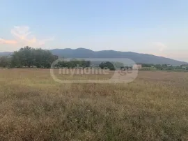 Land For Sale, Agricultural, Saguramo