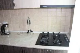 Daily Rent, 4 Room, Borjomi , Bakuriani