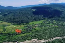 იყიდება სახლი, 8 ოთახიანი, თიანეთი, ლელოვანი 