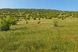 იყიდება მიწის ნაკვეთი, არა სასოფლო - სამეურნეო, ლისის ტბა