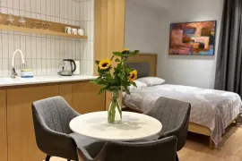 For Rent, 1 Room, New building, Tbilisi, Mtatsminda