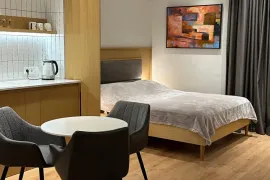 For Rent, 1 Room, New building, Tbilisi, Mtatsminda