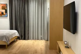 For Rent, 1 Room, New building, Tbilisi, Mtatsminda