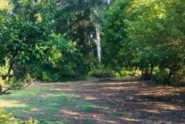 Продается Земля, Не Сельскохозяйственный, Чакви