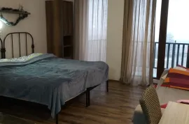 Daily Apartment Rent, 1 Room, New building, Borjomi , Bakuriani