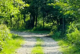 Продается Земля, Сельскохозяйственные, Озургети