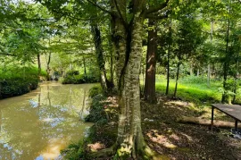 Продается Земля, Сельскохозяйственные, Озургети