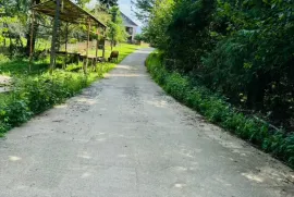 Продается Земля, Сельскохозяйственные, Озургети