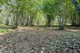 Продается Земля, Сельскохозяйственные, Озургети