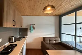 Аренда квартир посуточно, 2 Kомнатная, Новостройка, Боржомский район, Бакуриани