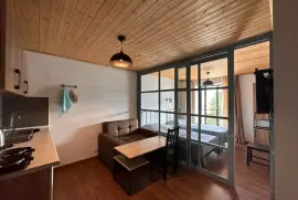 Аренда квартир посуточно, 2 Kомнатная, Новостройка, Боржомский район, Бакуриани