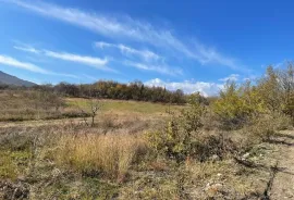 Land For Sale, Agricultural, Partskhisi