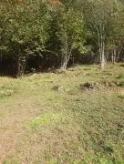 Land For Sale, Agricultural, Kirnati