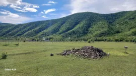 იყიდება მიწის ნაკვეთი, სასოფლო - სამეურნეო, არაგვისპირი