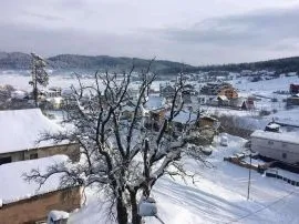 ქირავდება ბინა დღიურად, 1 ოთახიანი, ახალი აშენებული, ბორჯომი, ბაკურიანი