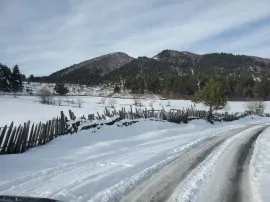 იყიდება მიწის ნაკვეთი, საინვესტიციო, მესტია