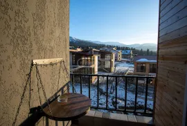 Daily Apartment Rent, 1 Room, New building, Borjomi , Bakuriani