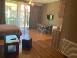 Аренда квартир посуточно, 1 Kомнатная, Новостройка, Боржомский район, Бакуриани