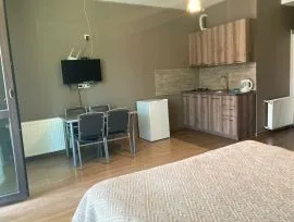 Аренда квартир посуточно, 1 Kомнатная, Новостройка, Боржомский район, Бакуриани