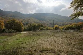 Land For Sale, Non Agricultural, Tskhvarichamia