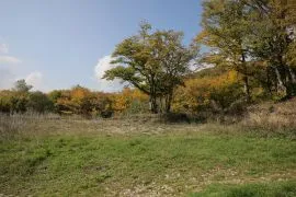 Land For Sale, Non Agricultural, Tskhvarichamia