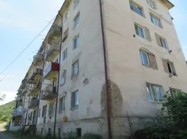 Apartment for sale, 3 Room, Old building, Bolnisi, Bolnisi 