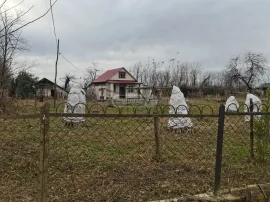 იყიდება სახლი, 2 ოთახიანი, მარტვილი, ზემო ნაგვაზავო