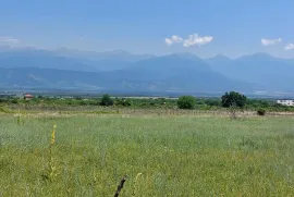 იყიდება მიწის ნაკვეთი, სასოფლო - სამეურნეო, კისისხევი 