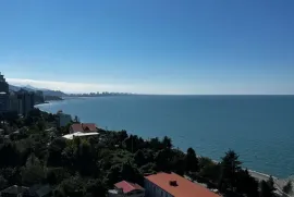 იყიდება ბინა, 1 ოთახიანი, ახალი აშენებული, ბათუმი, მახინჯაური