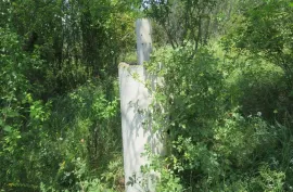 Land For Sale, Special, Satskhenisi