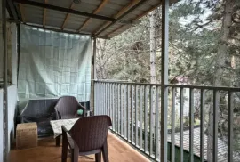 ქირავდება ბინა, 2 ოთახიანი, ძველი აშენებული, თბილისის შემოგარენი, წყნეთი