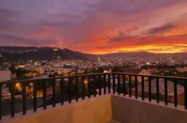 Продается Дом, 15 Kомнатная, Тбилиси, Елия