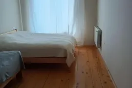 Daily Apartment Rent, 2 Room, New building, Borjomi , Bakuriani