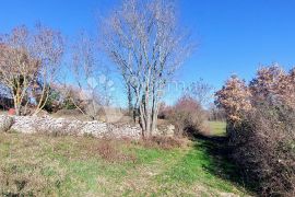 GRAĐEVINSKO ZEMLJIŠTE - Manjadvorci, Barban, Terra