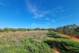 ISTRA, PULA Poljoprivredno zemljište nedaleko od centra grada!, Pula, Terra