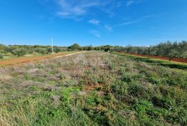 ISTRA, PULA Poljoprivredno zemljište nedaleko od centra grada!, Pula, Terra