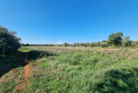 ISTRA, PULA Poljoprivredno zemljište nedaleko od centra grada!, Pula, Terra