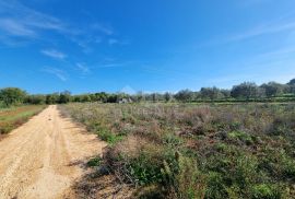 ISTRA, PULA Poljoprivredno zemljište nedaleko od centra grada!, Pula, Terra