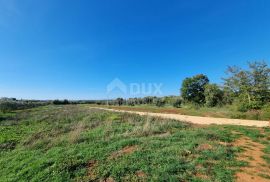 ISTRA, PULA Poljoprivredno zemljište nedaleko od centra grada!, Pula, Terra